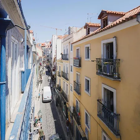 Akicity Mouraria Foliage *